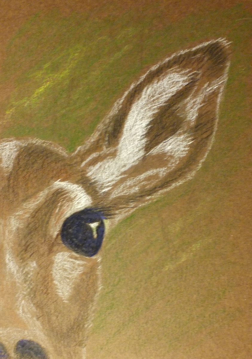 Picture of eye