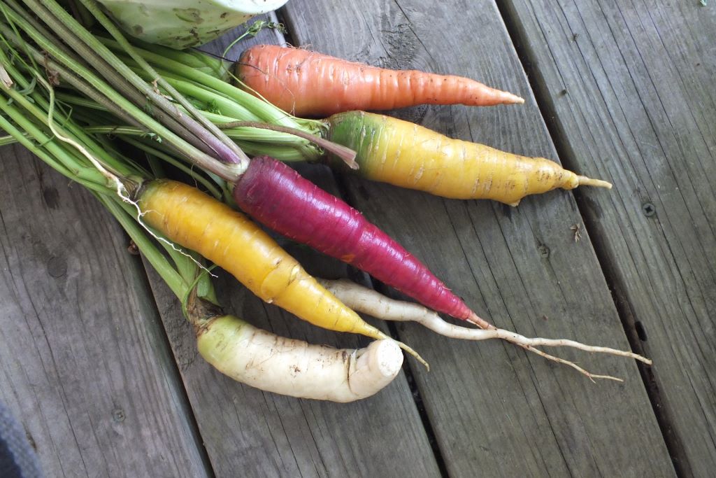 Carrots