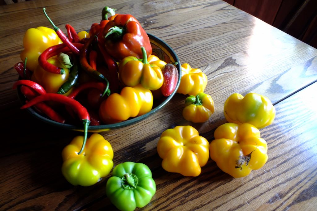 Peppers