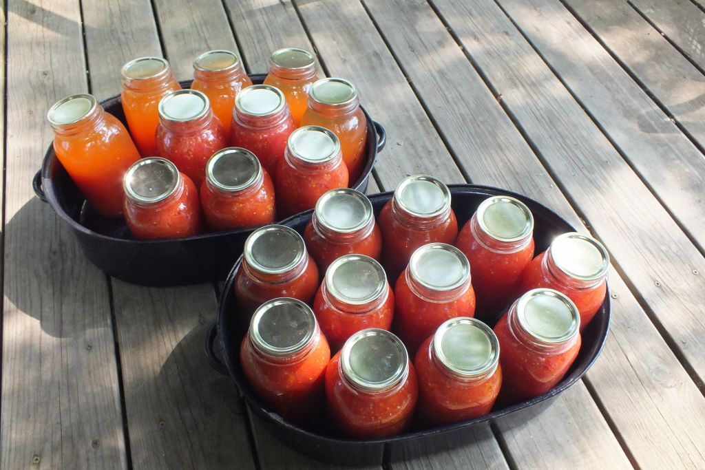 Tomatoes Canned