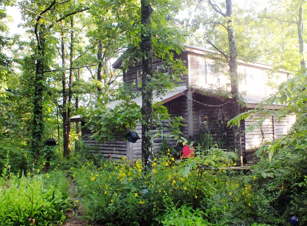Photo of Home