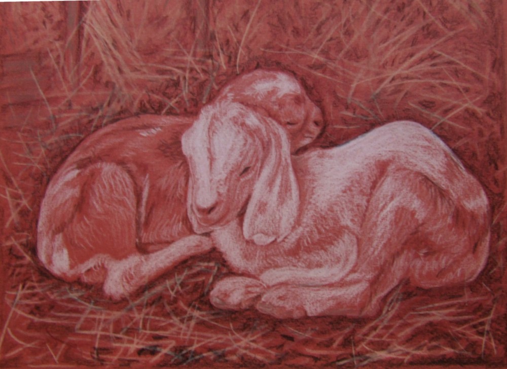 Picture Sleeping Kids