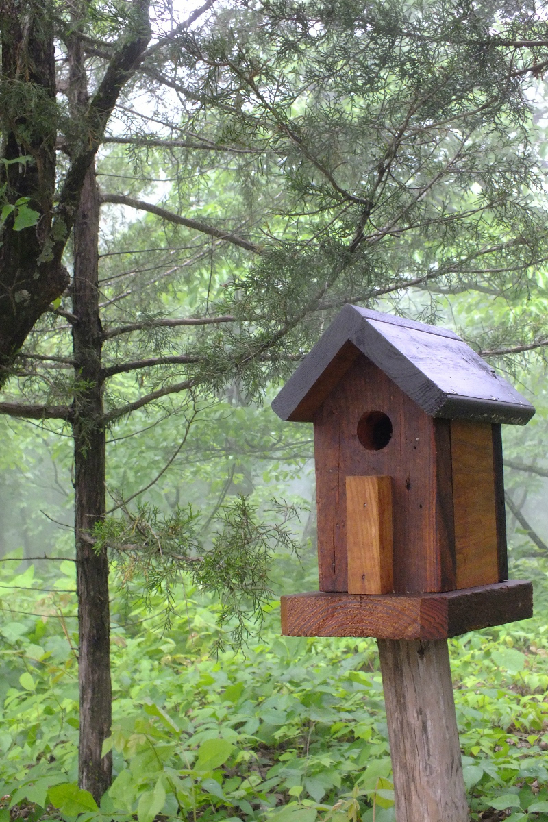Birdhouse