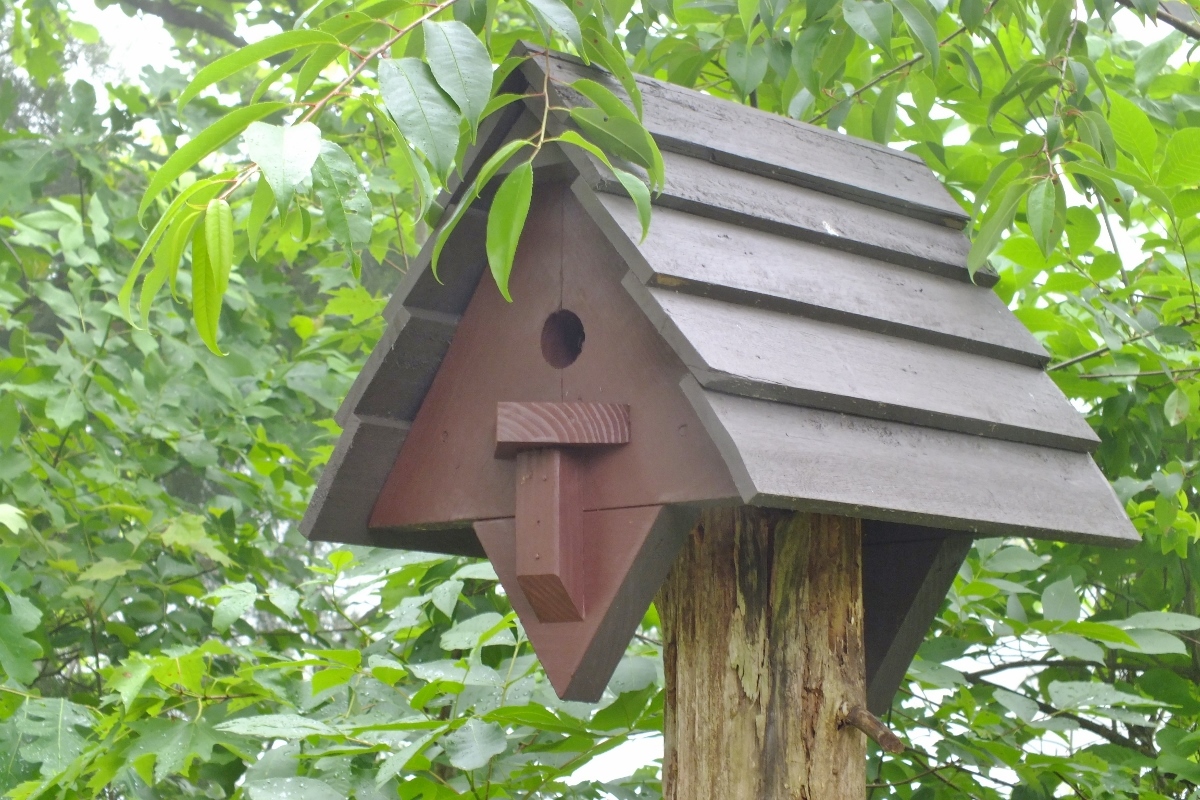 Birdhouse
