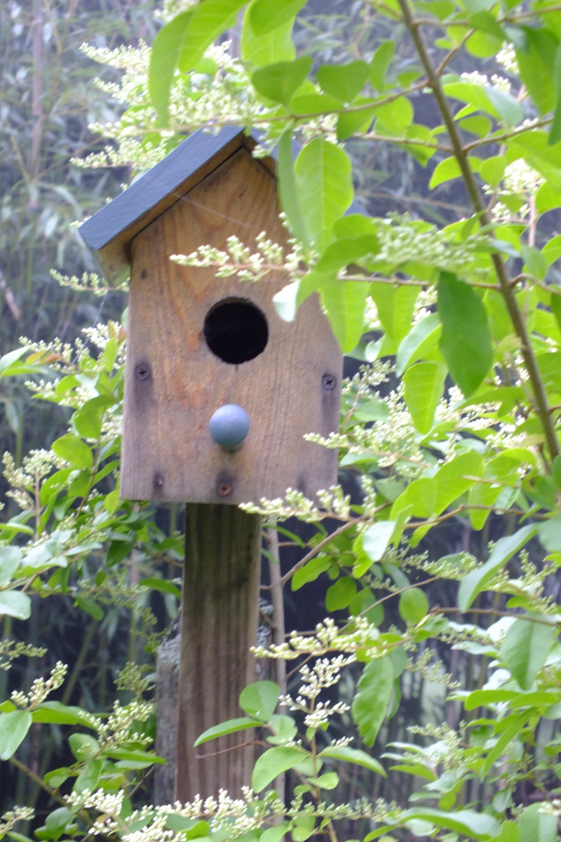 Birdhouse