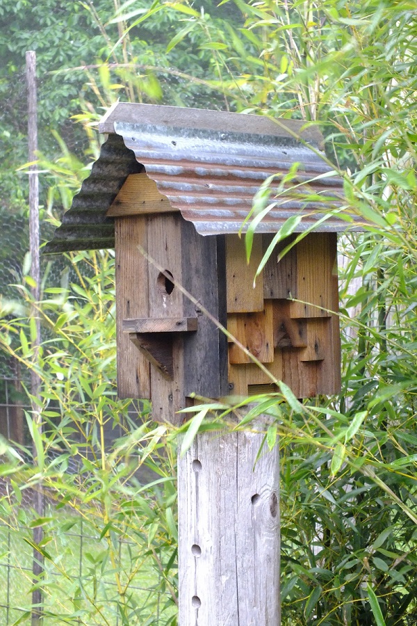 Birdhouse