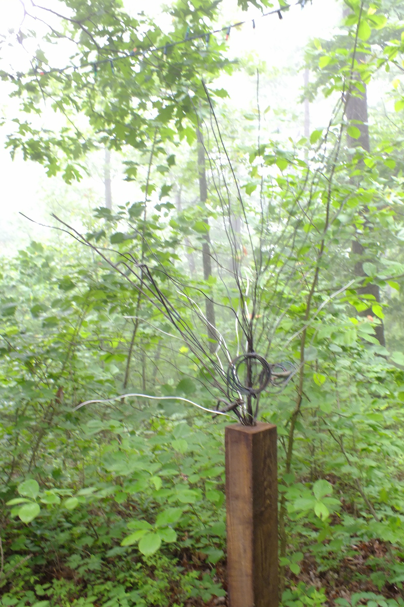 Wired Sculpture