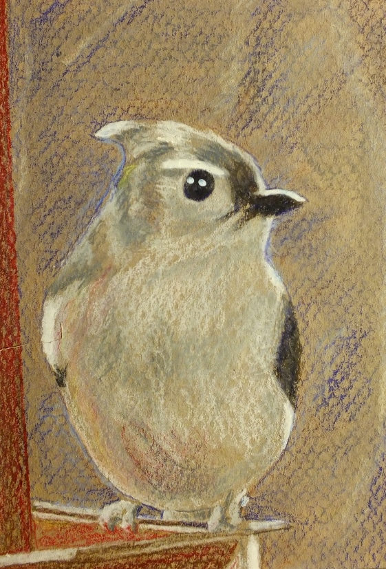 bird